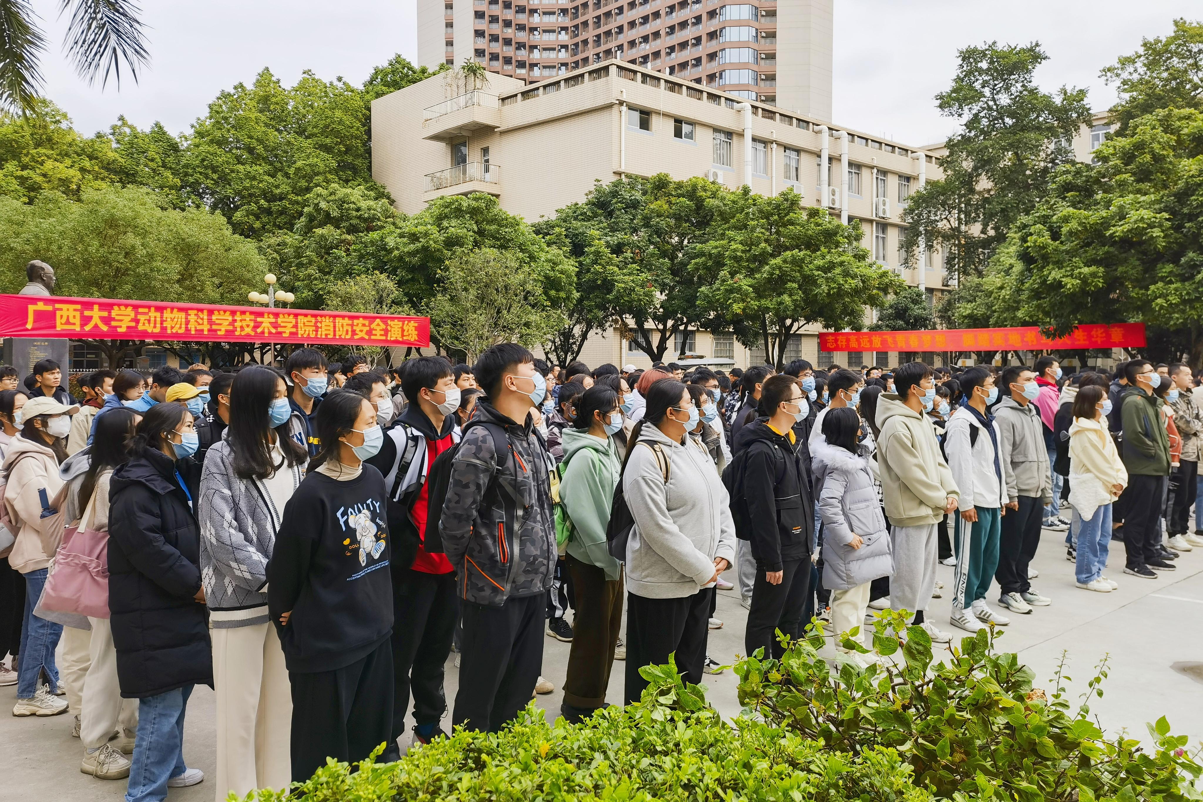谈球吧