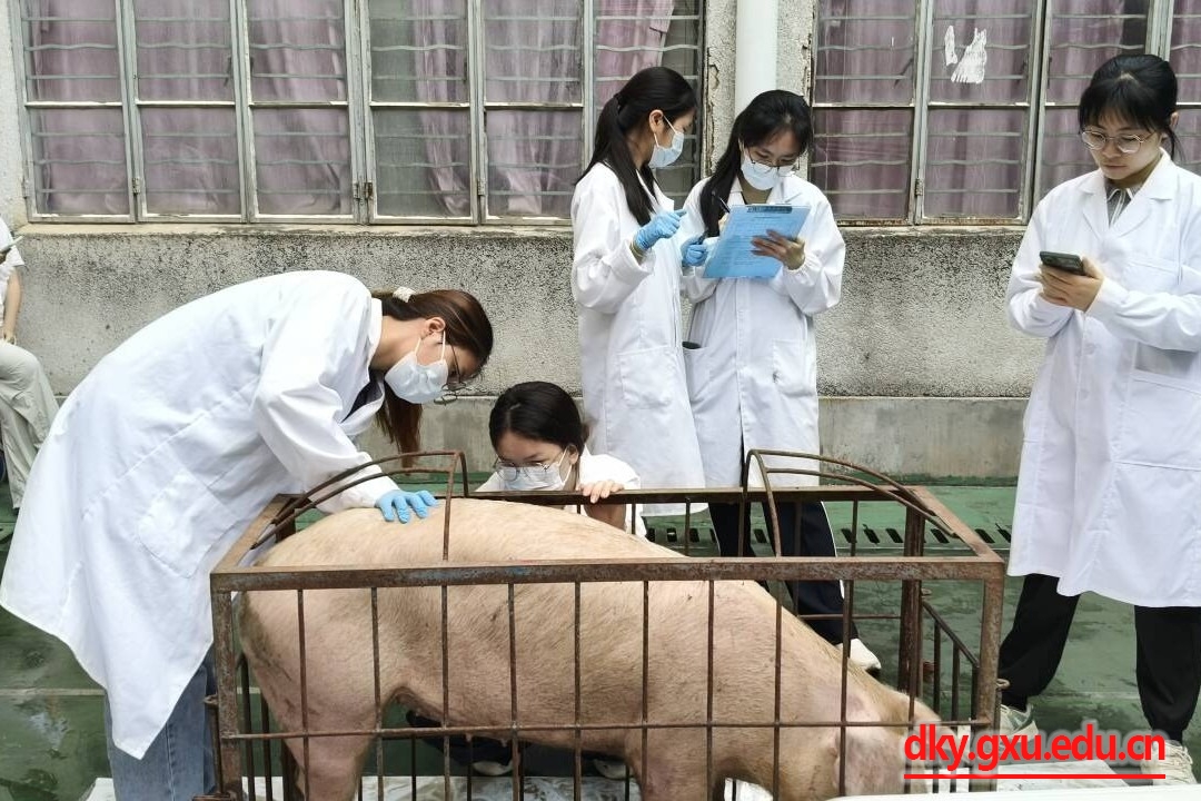 谈球吧